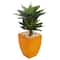 3ft. Double Agave Succulent Plant in Orange Planter